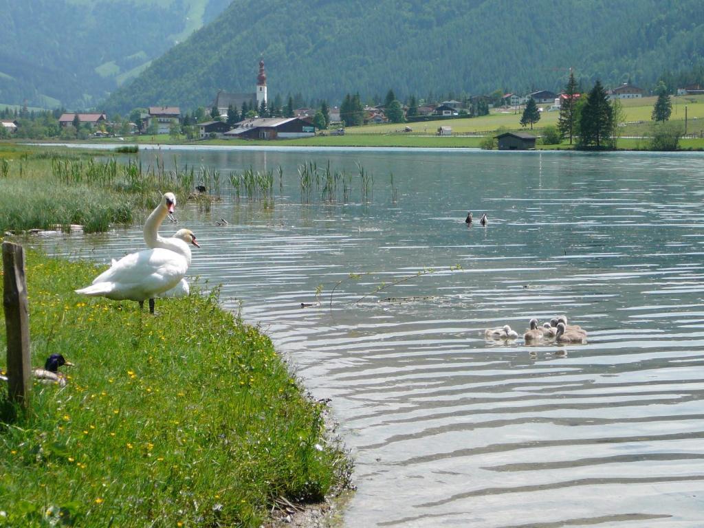 Appartement Pillersee Sankt Ulrich am Pillersee Exterior photo